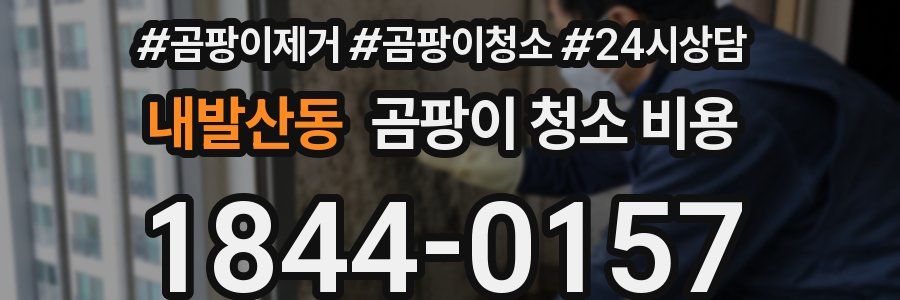 내발산동 곰팡이 청소 비용
