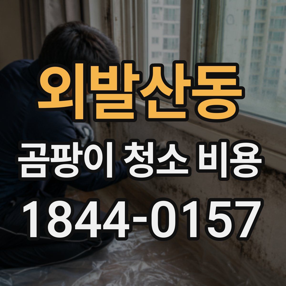 외발산동 곰팡이 청소 비용