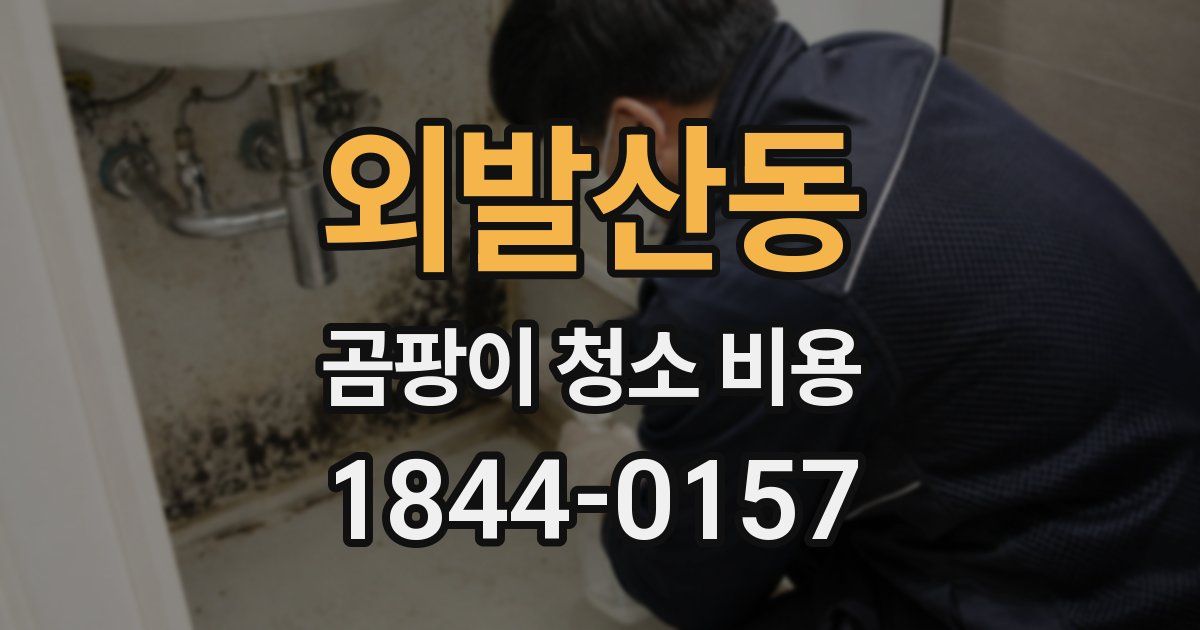 외발산동 곰팡이 청소 비용