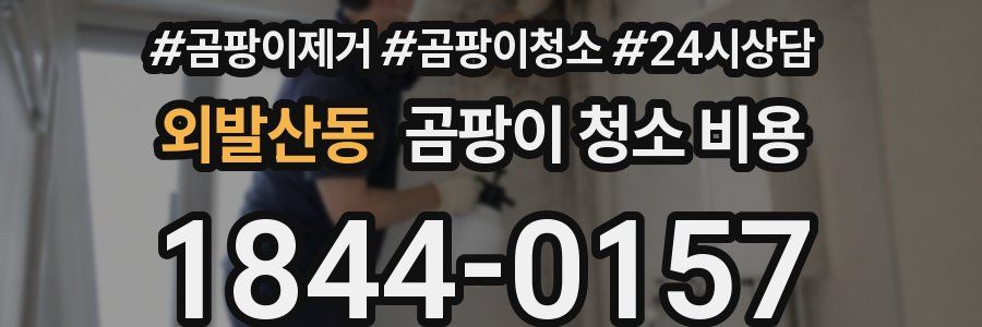 외발산동 곰팡이 청소 비용