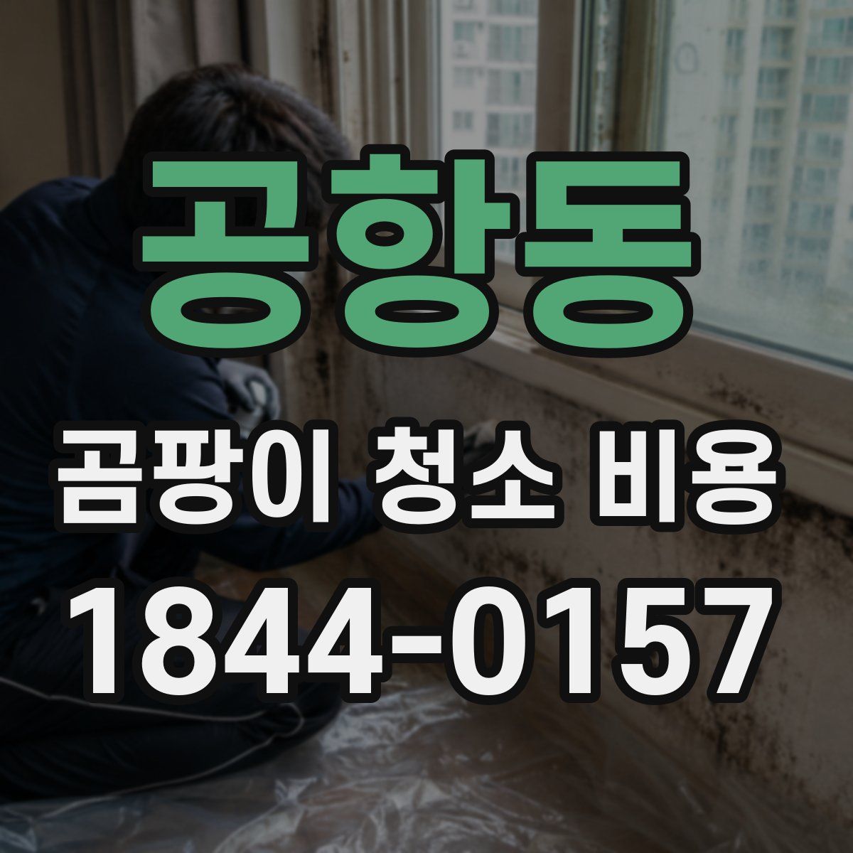 공항동 곰팡이 청소 비용