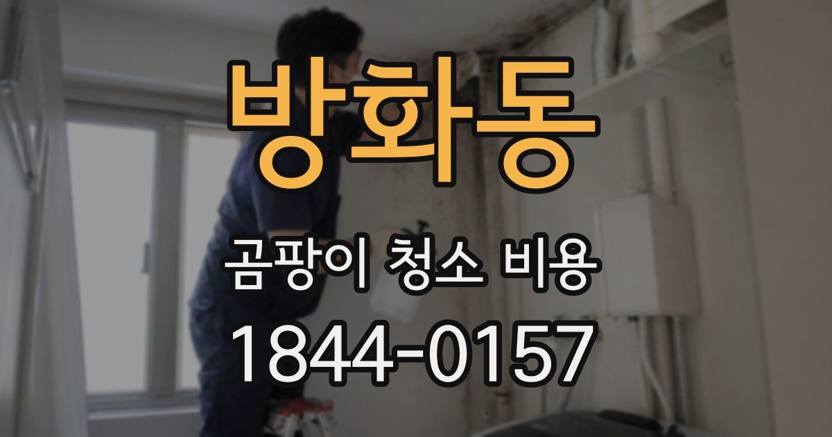 방화동 곰팡이 청소 비용