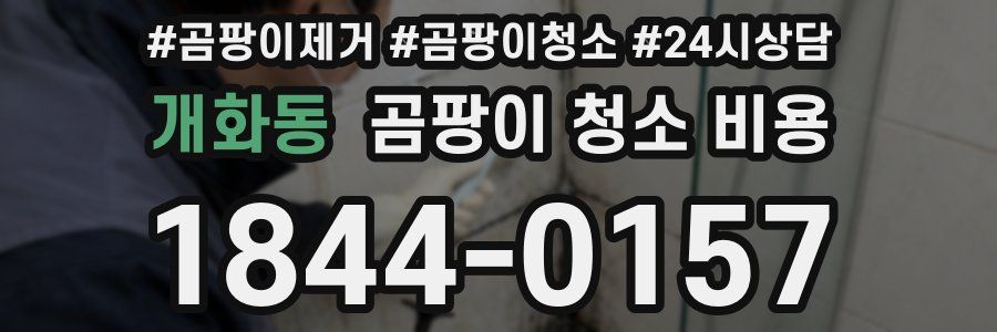 개화동 곰팡이 청소 비용