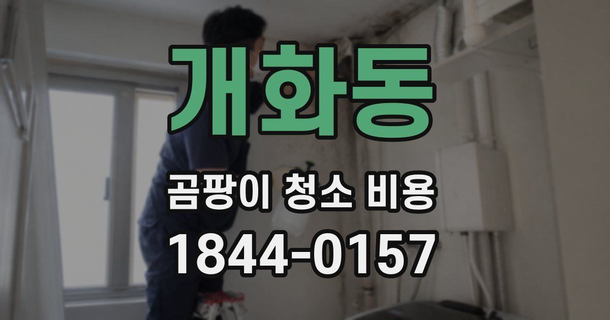 개화동 곰팡이 청소 비용