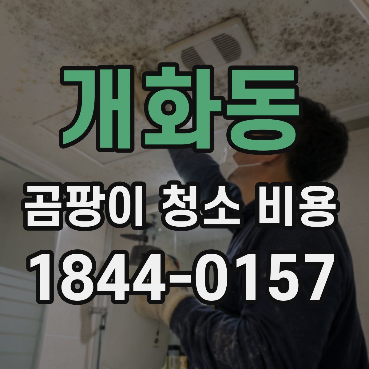 개화동 곰팡이 청소 비용
