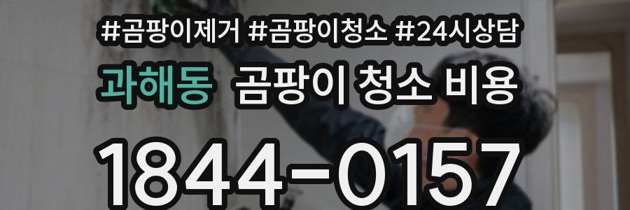 과해동 곰팡이 청소 비용