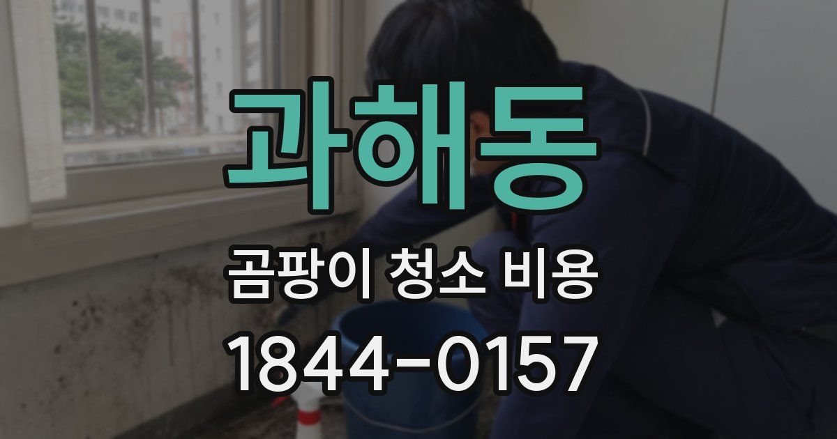 과해동 곰팡이 청소 비용