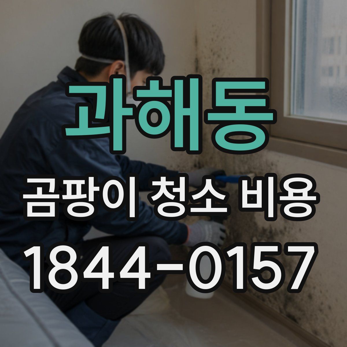 과해동 곰팡이 청소 비용