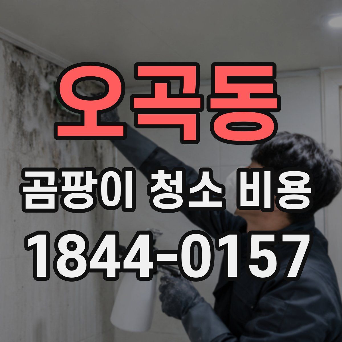 오곡동 곰팡이 청소 비용