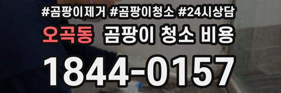 오곡동 곰팡이 청소 비용