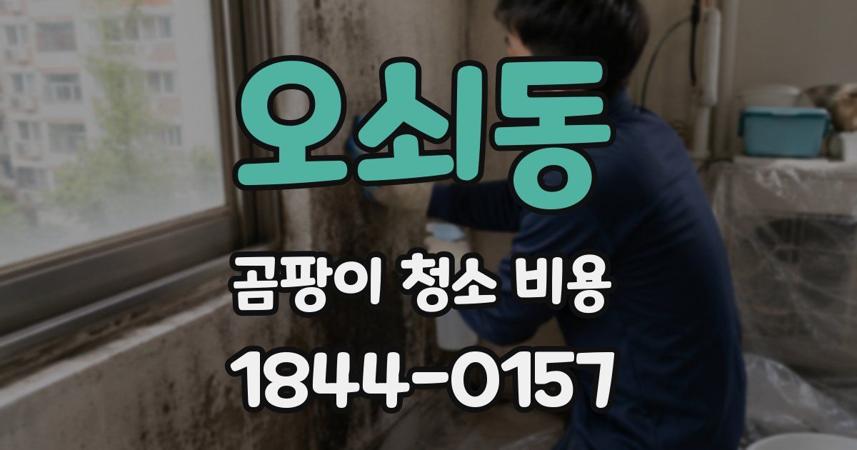 오쇠동 곰팡이 청소 비용