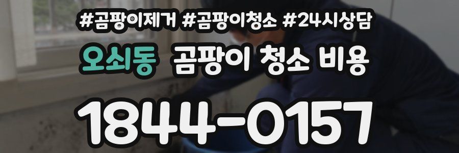 오쇠동 곰팡이 청소 비용