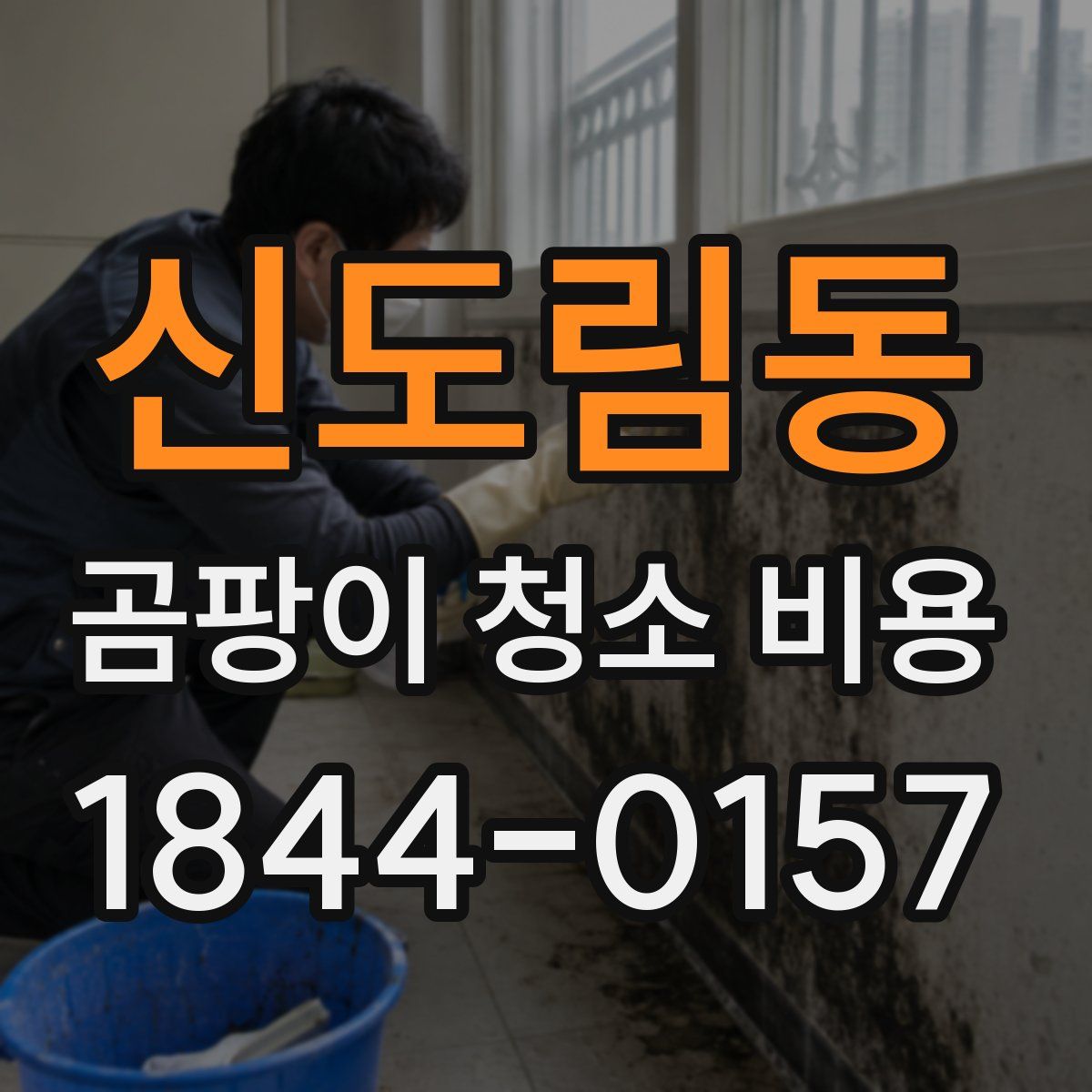 신도림동 곰팡이 청소 비용