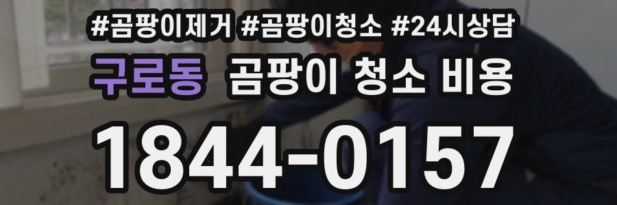 구로동 곰팡이 청소 비용