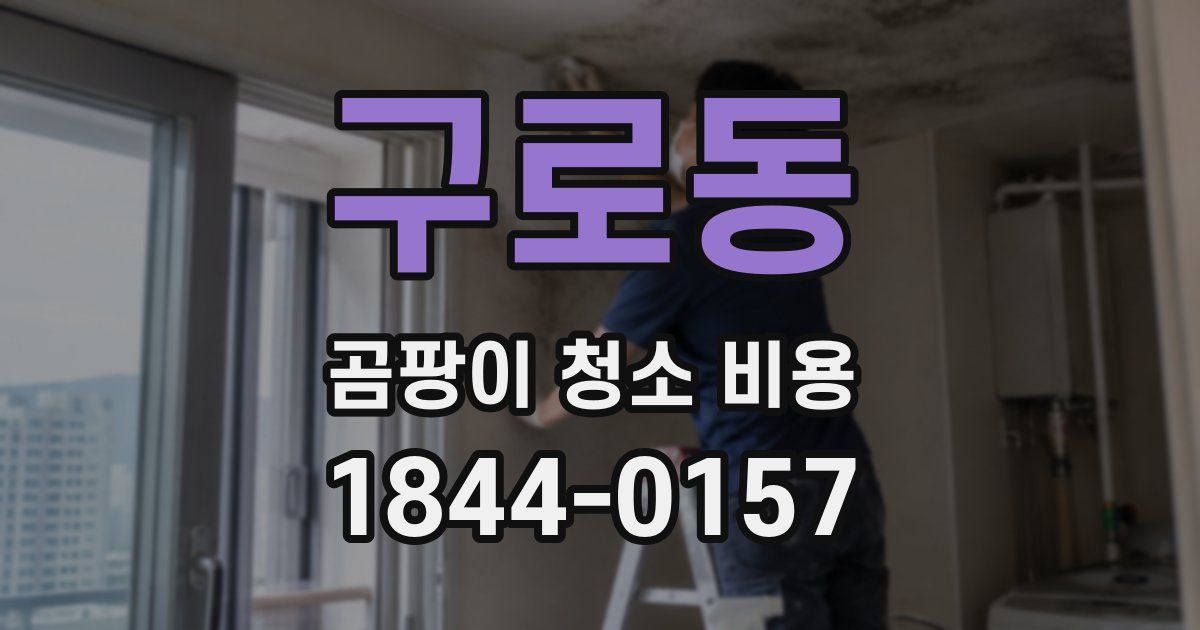 구로동 곰팡이 청소 비용