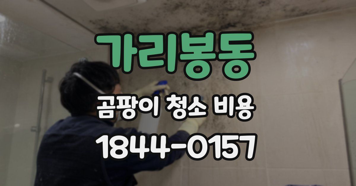 가리봉동 곰팡이 청소 비용