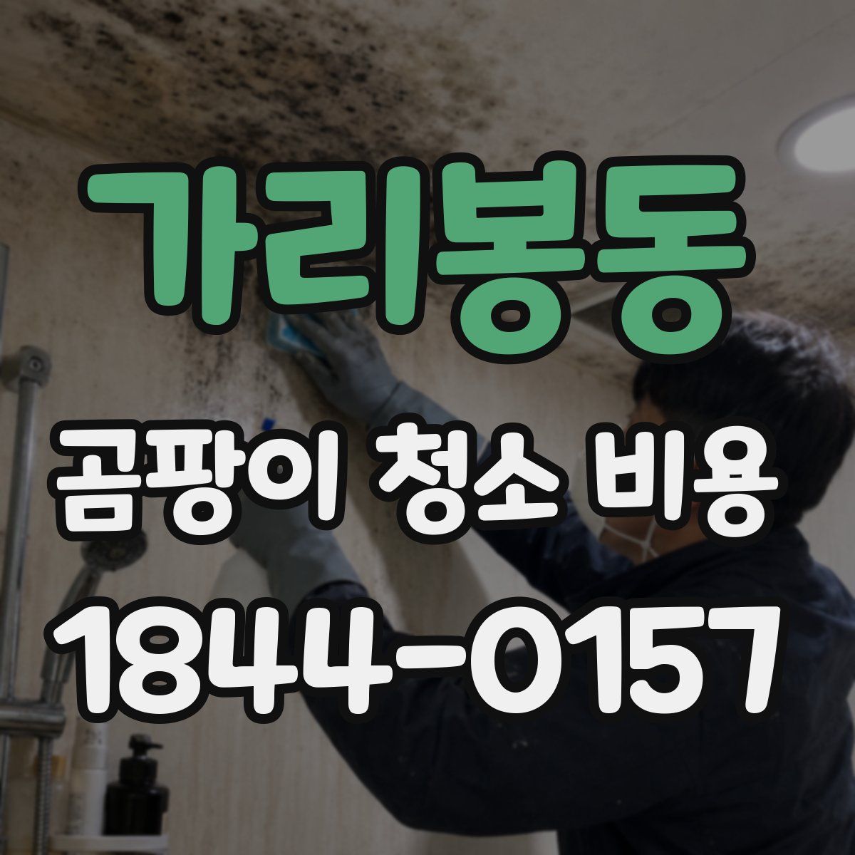가리봉동 곰팡이 청소 비용