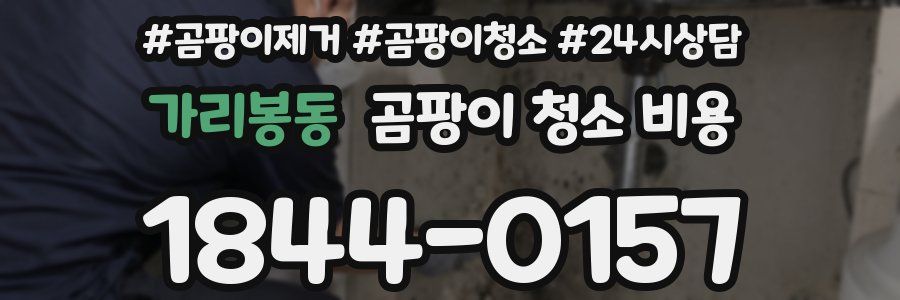 가리봉동 곰팡이 청소 비용