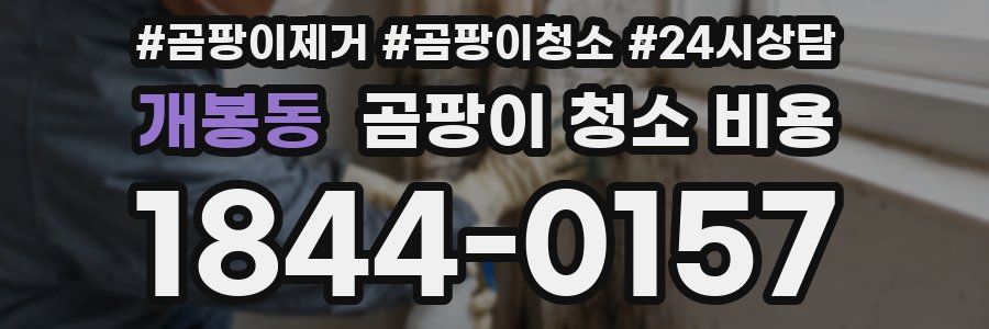 개봉동 곰팡이 청소 비용