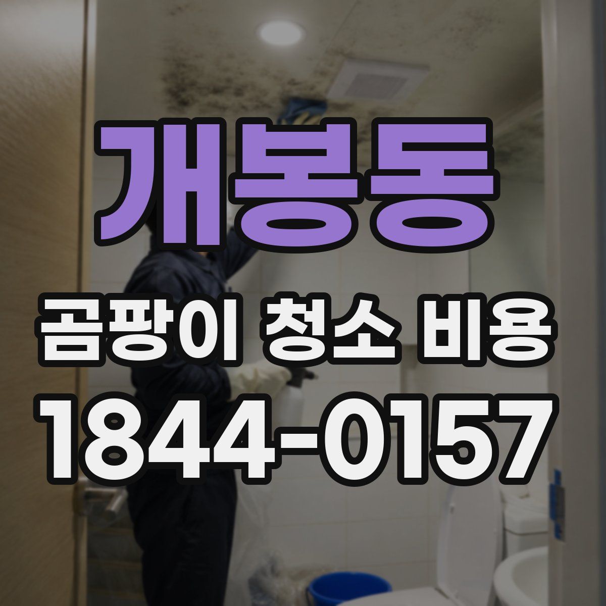 개봉동 곰팡이 청소 비용
