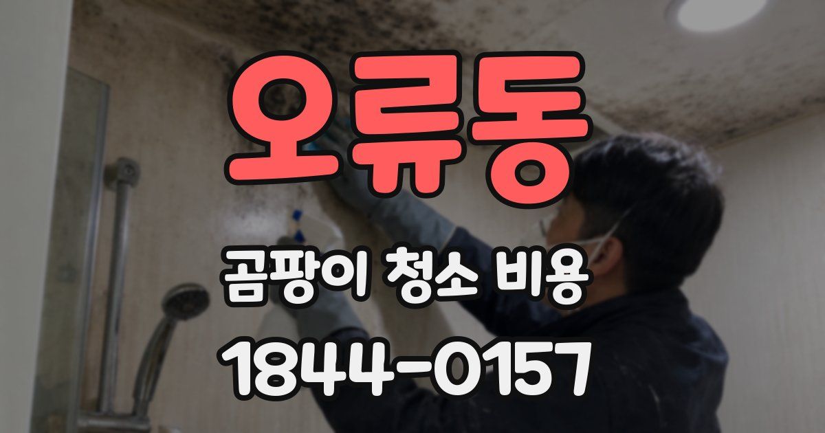 오류동 곰팡이 청소 비용