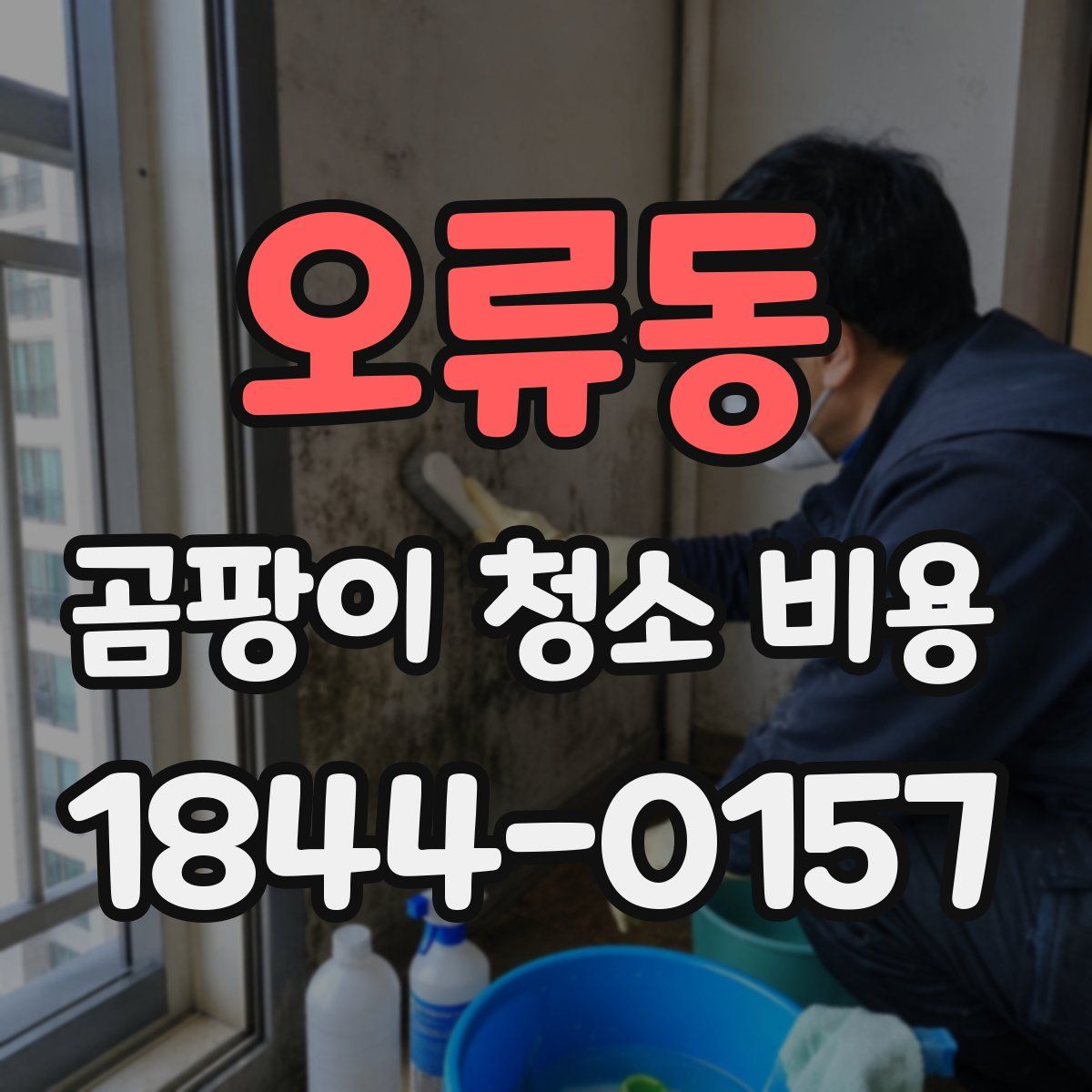 오류동 곰팡이 청소 비용
