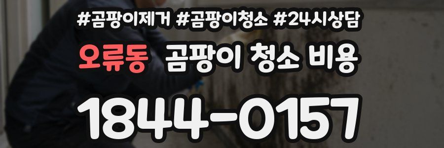 오류동 곰팡이 청소 비용