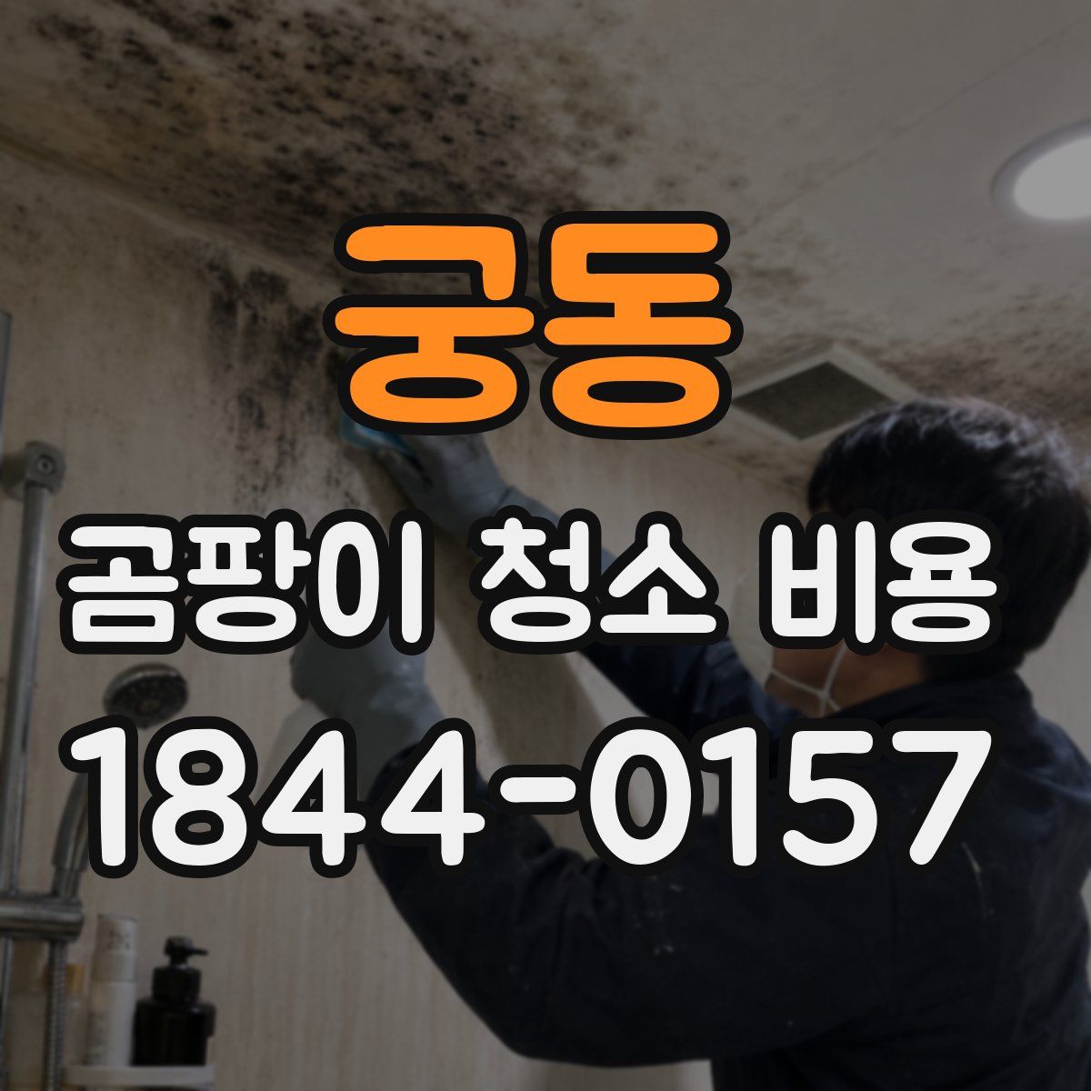 궁동 곰팡이 청소 비용