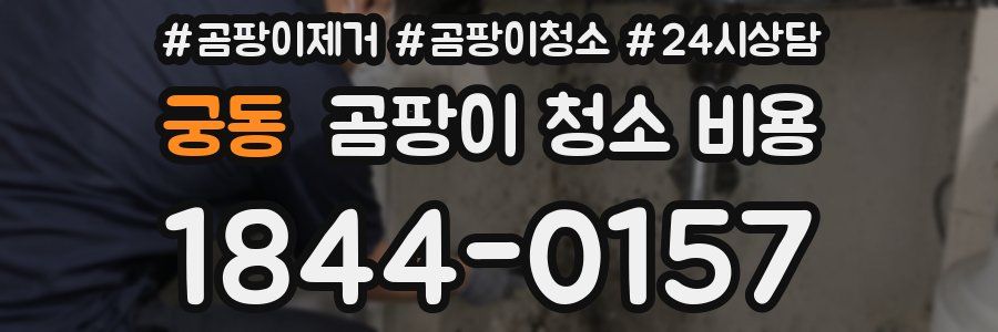 궁동 곰팡이 청소 비용