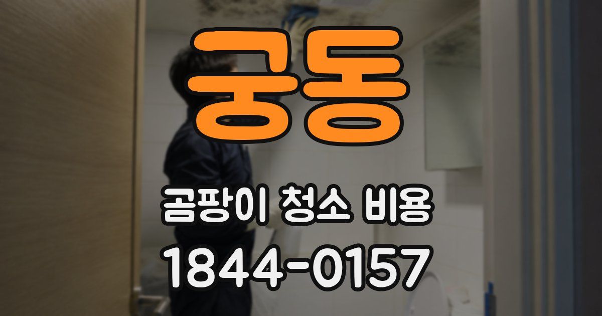 궁동 곰팡이 청소 비용