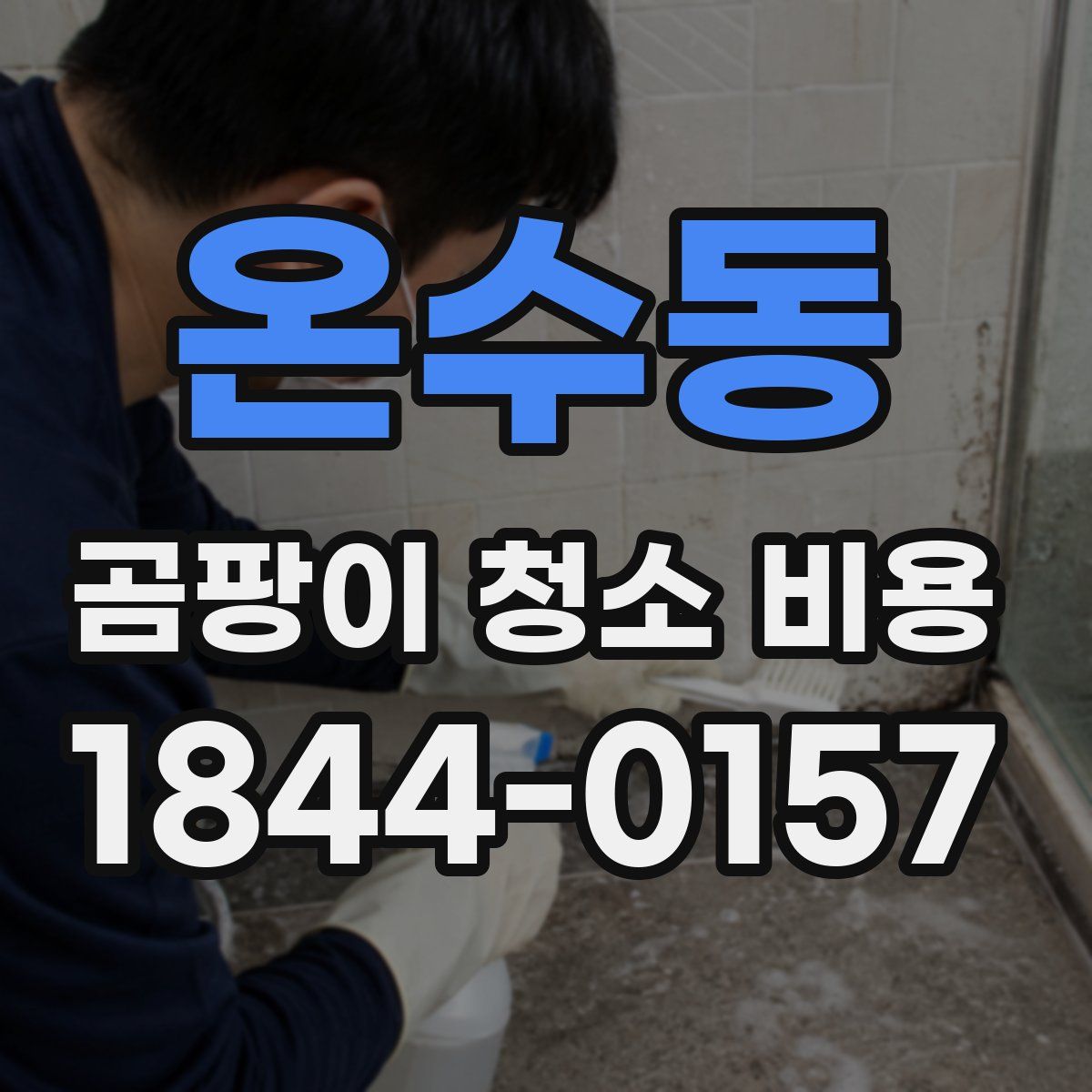 온수동 곰팡이 청소 비용
