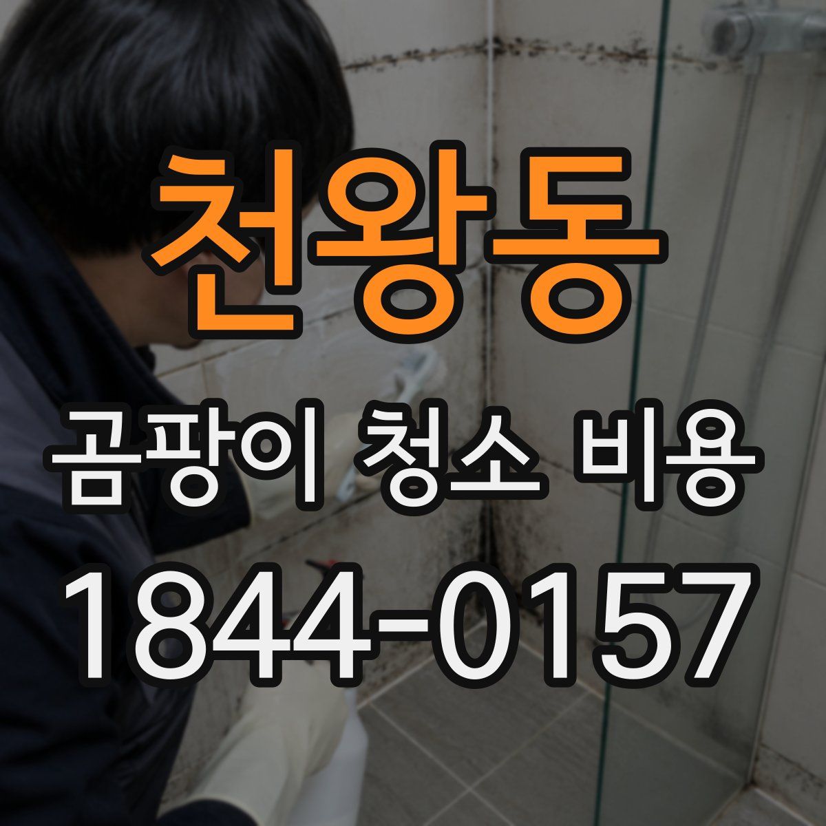 천왕동 곰팡이 청소 비용