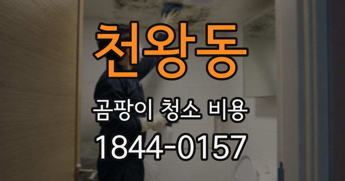 천왕동 곰팡이 청소 비용