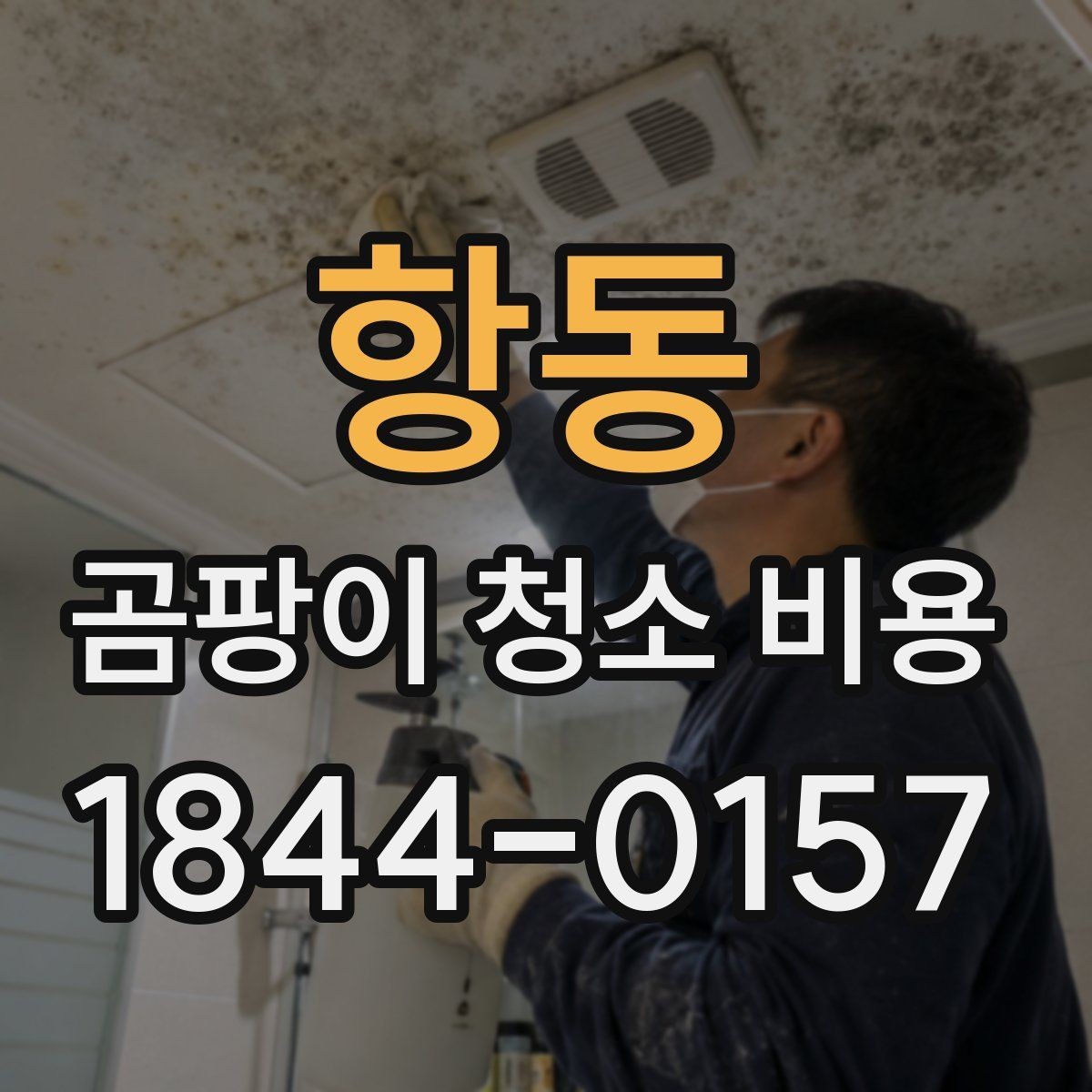 항동 곰팡이 청소 비용 곰팡이 냄새까지 함께 잡으려면