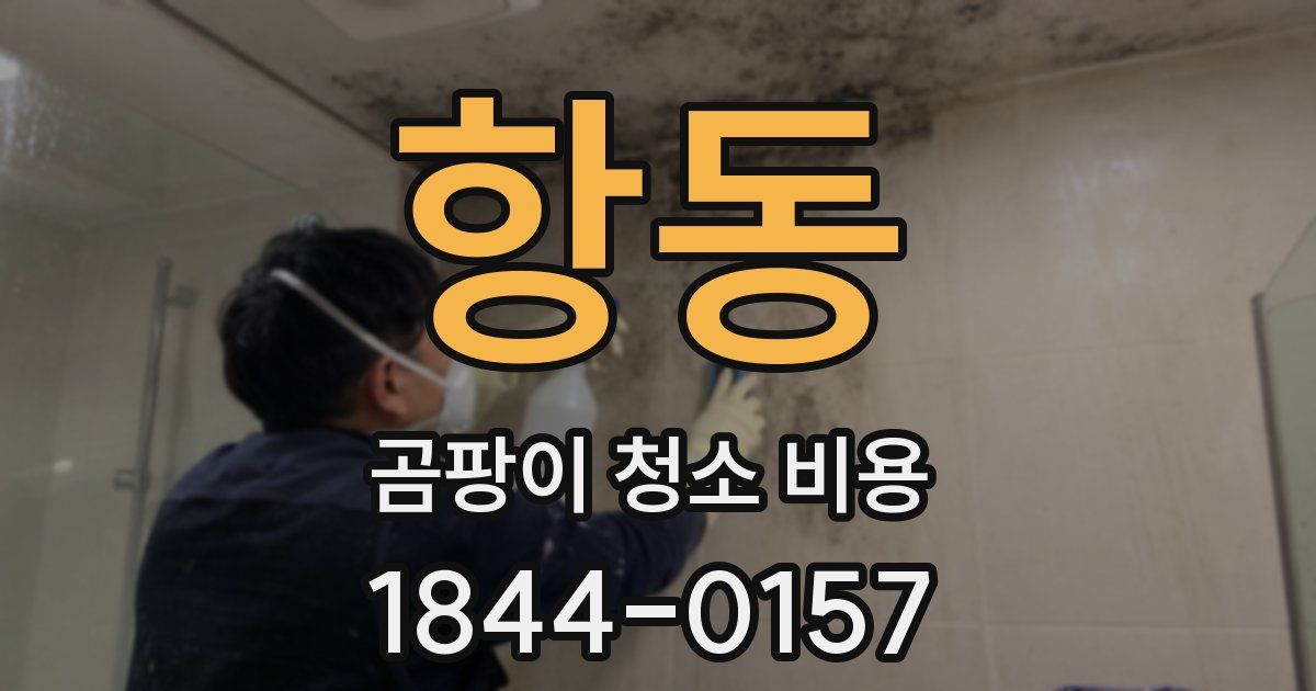 항동 곰팡이 청소 비용