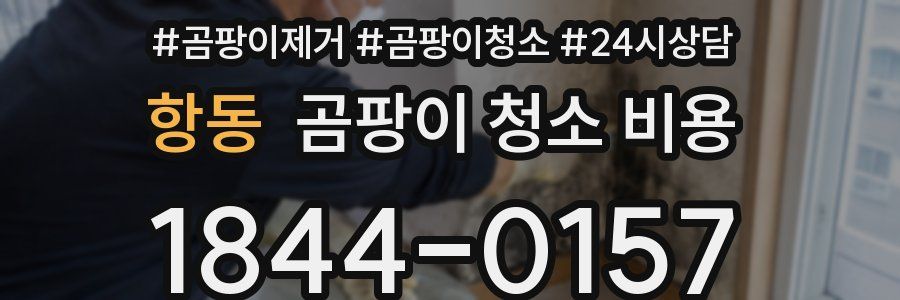 항동 곰팡이 청소 비용