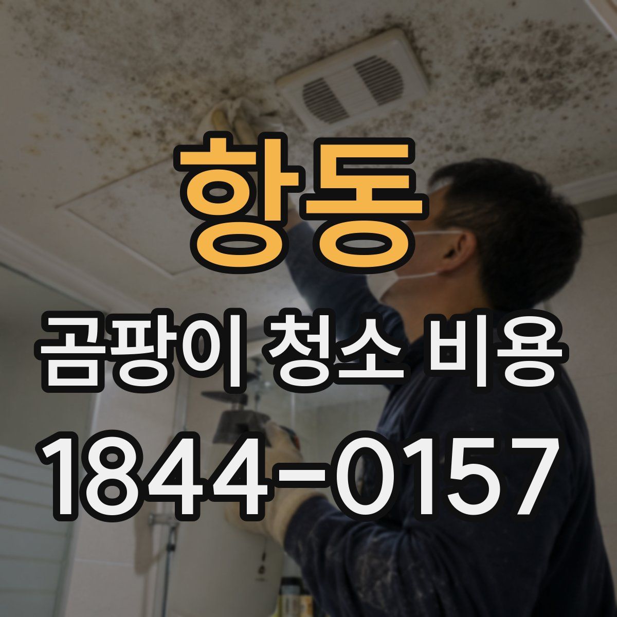 항동 곰팡이 청소 비용