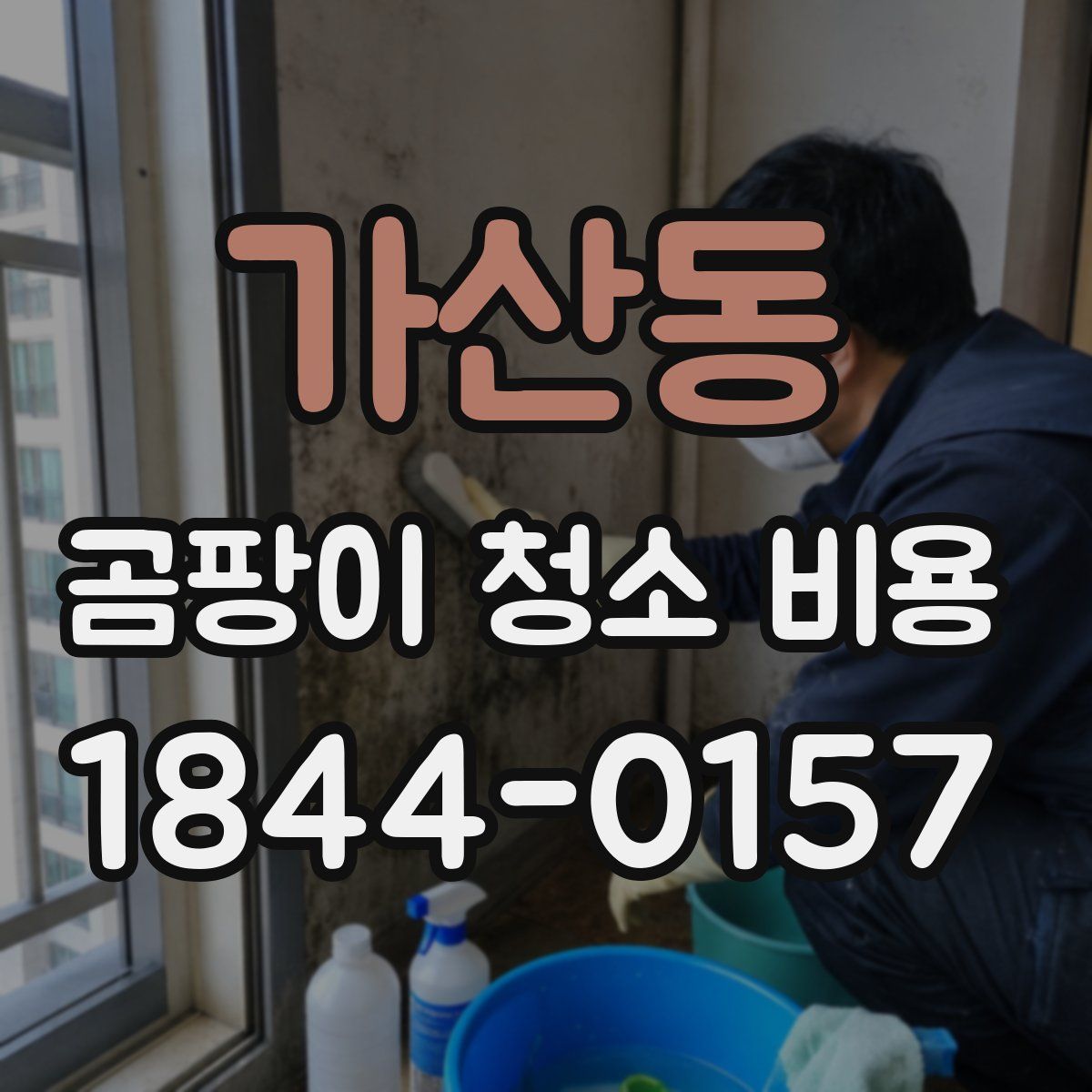 가산동 곰팡이 청소 비용