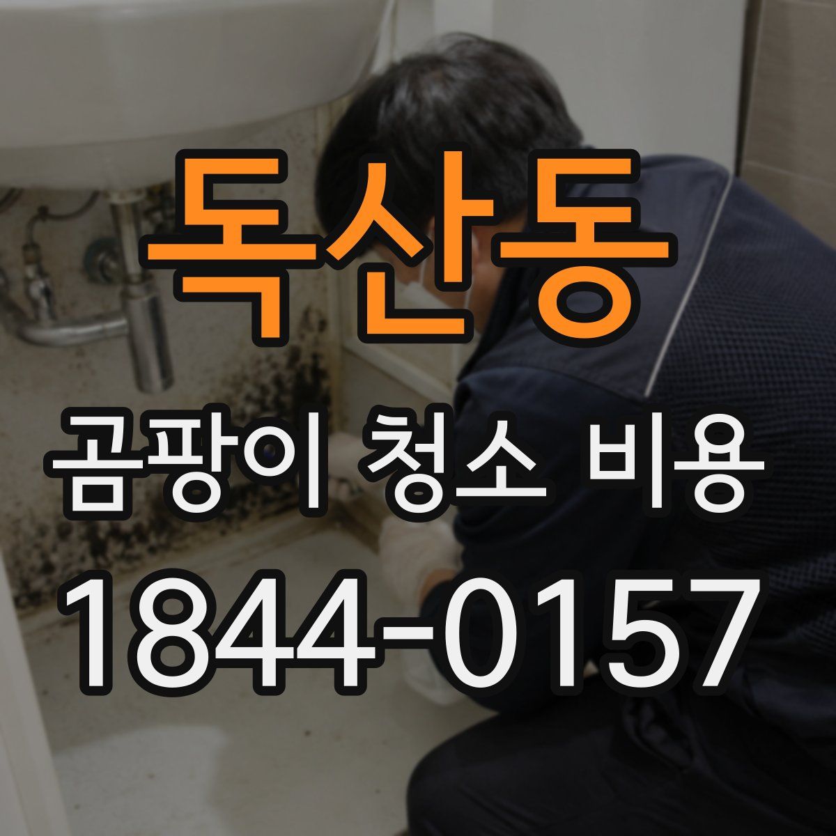 독산동 곰팡이 청소 비용