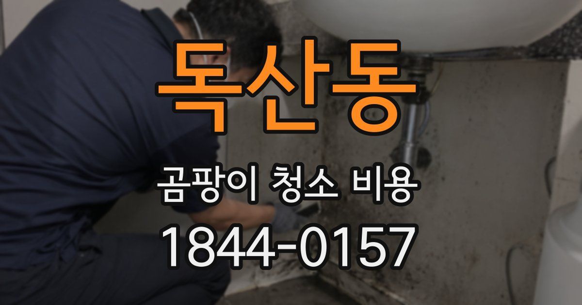 독산동 곰팡이 청소 비용