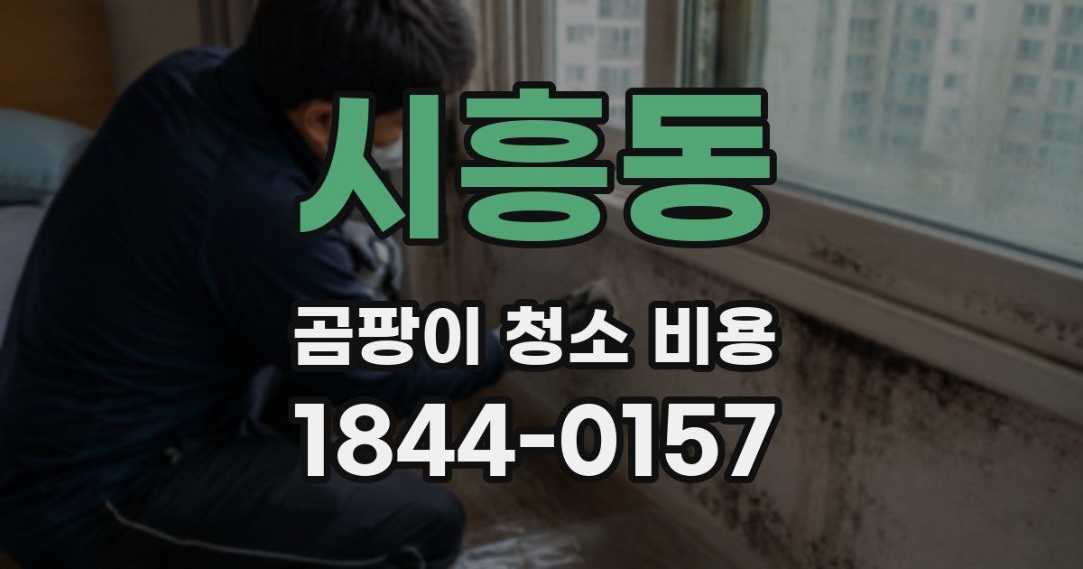 시흥동 곰팡이 청소 비용