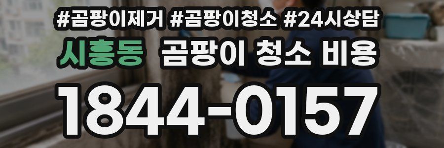 시흥동 곰팡이 청소 비용