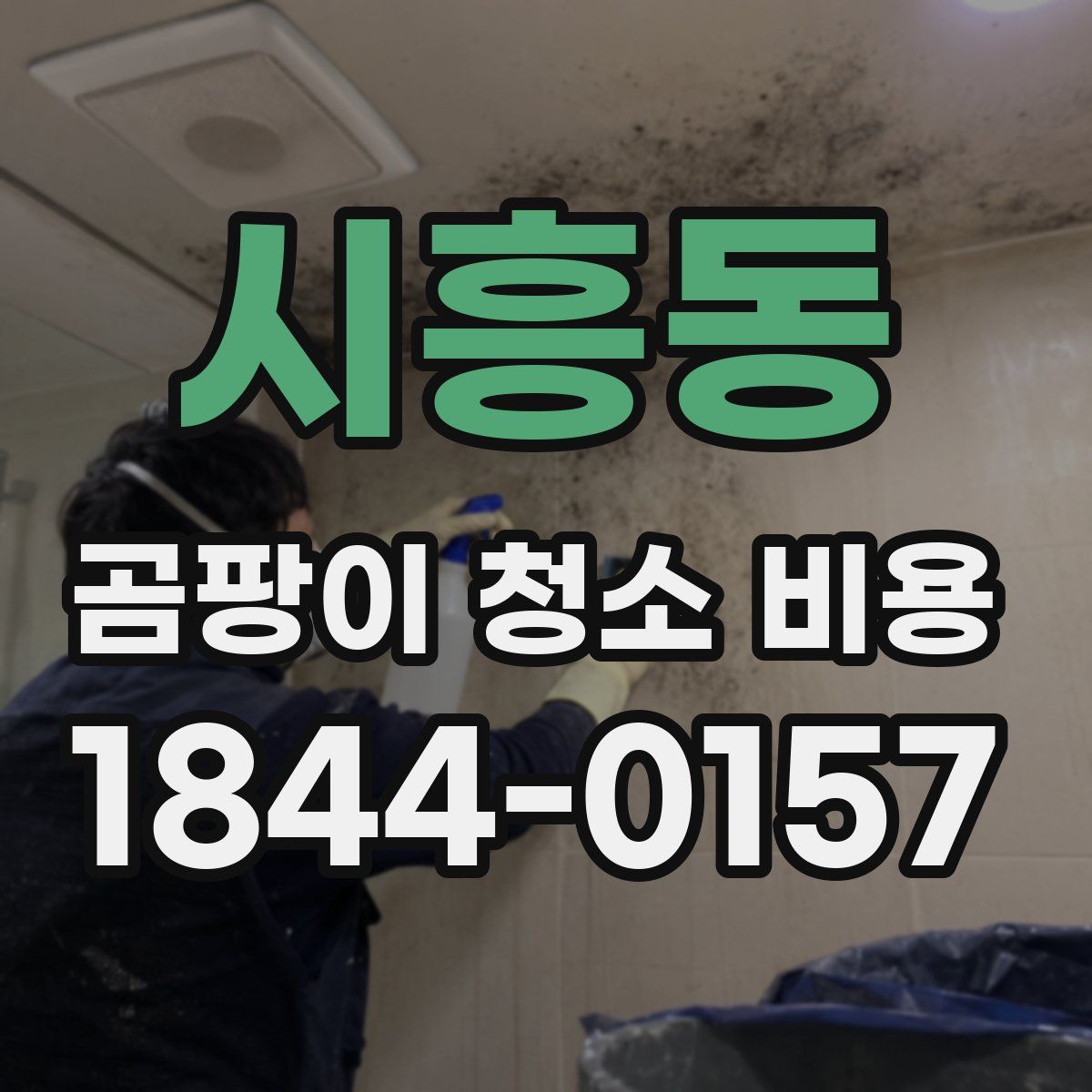 시흥동 곰팡이 청소 비용