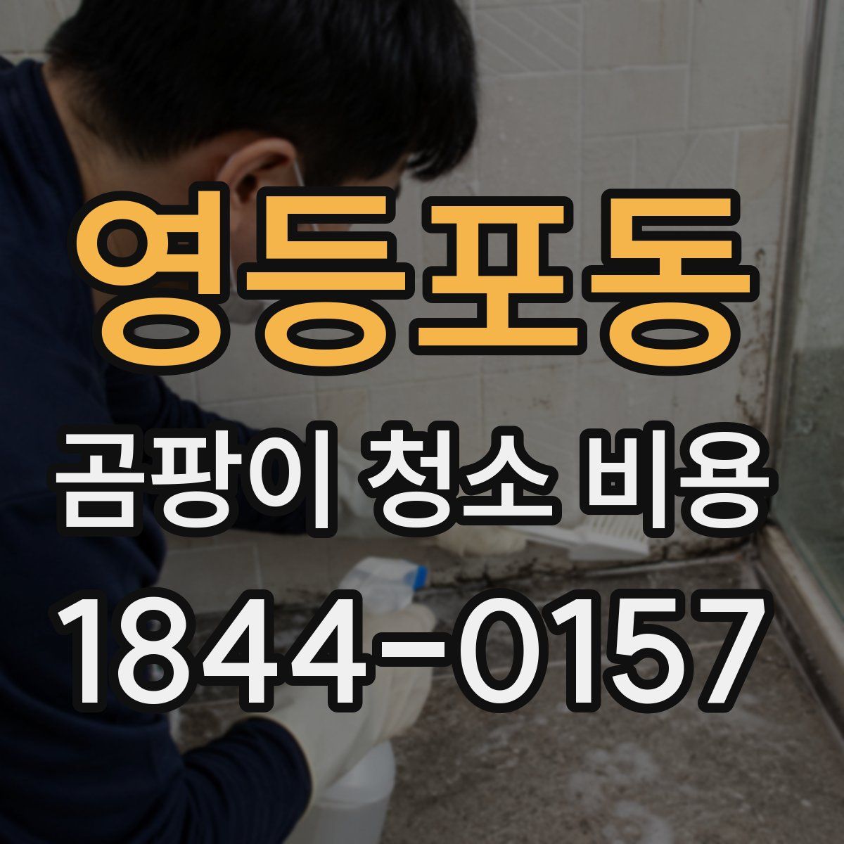 영등포동 곰팡이 청소 비용