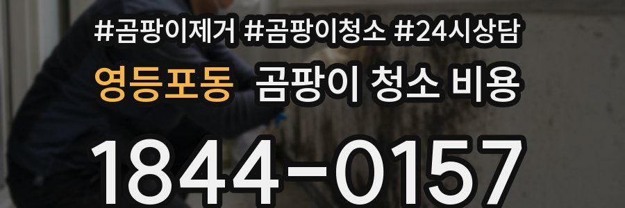 영등포동 곰팡이 청소 비용