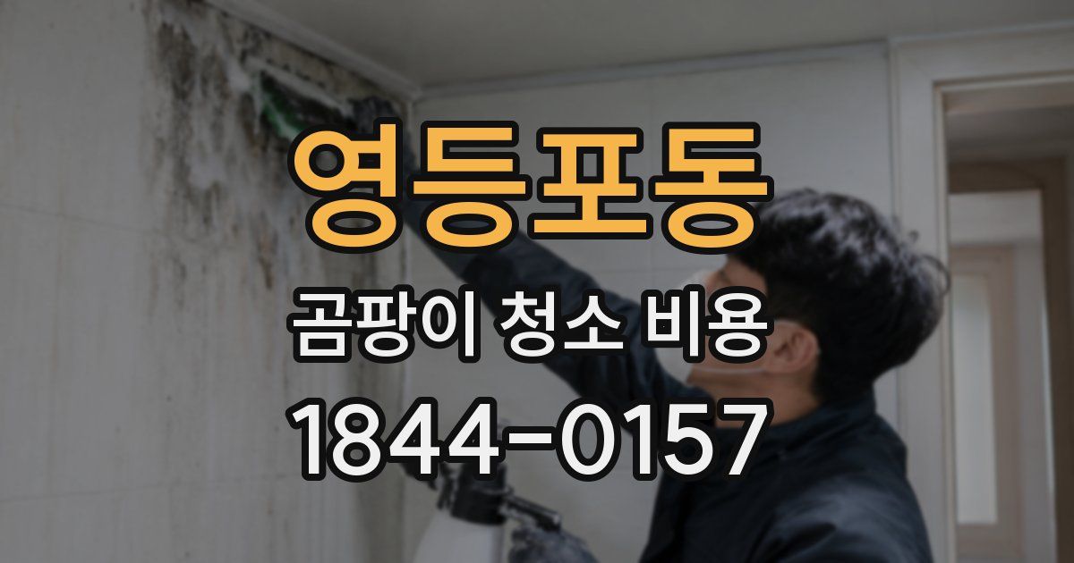 영등포동 곰팡이 청소 비용