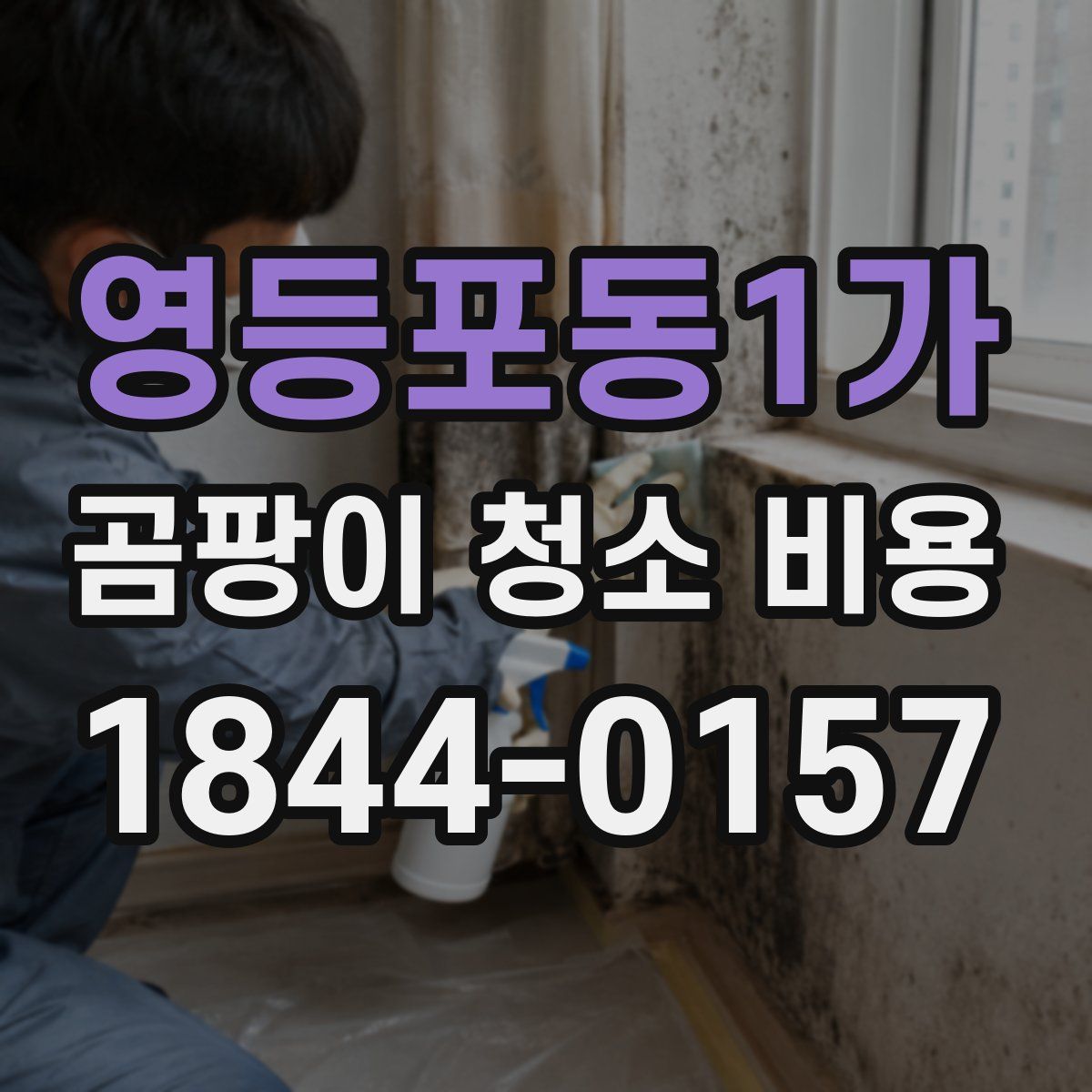 영등포동1가 곰팡이 청소 비용