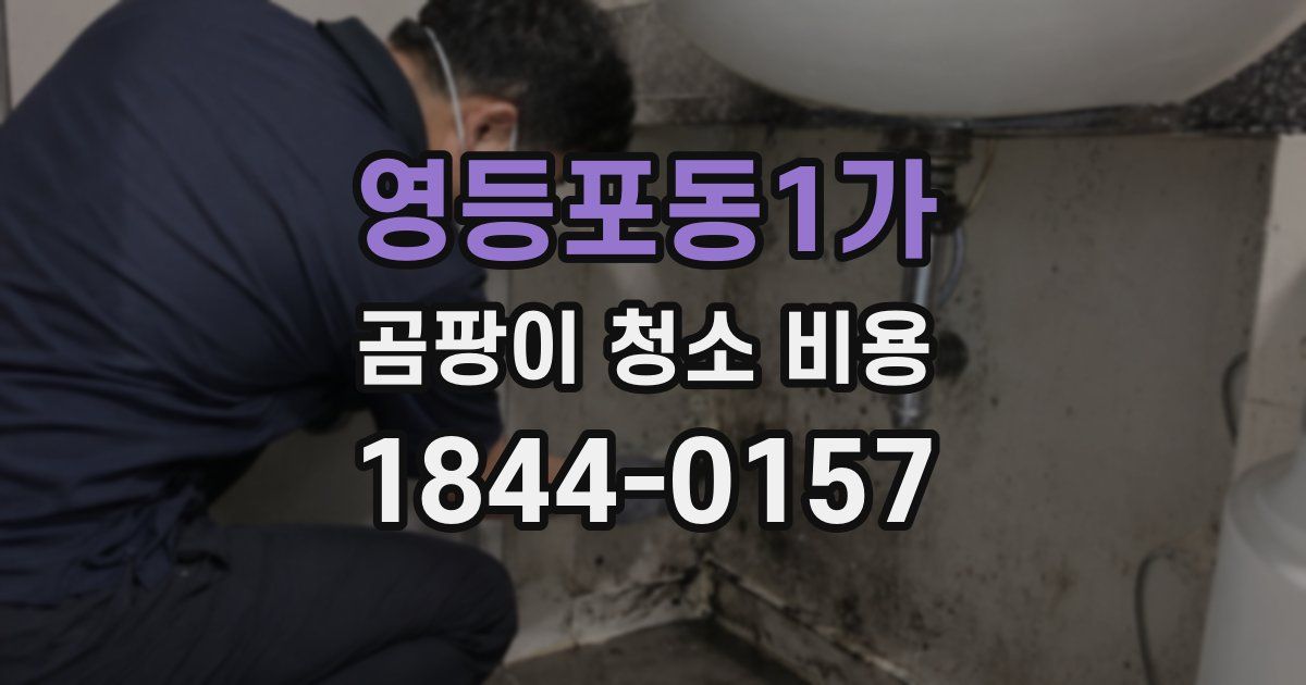 영등포동1가 곰팡이 청소 비용