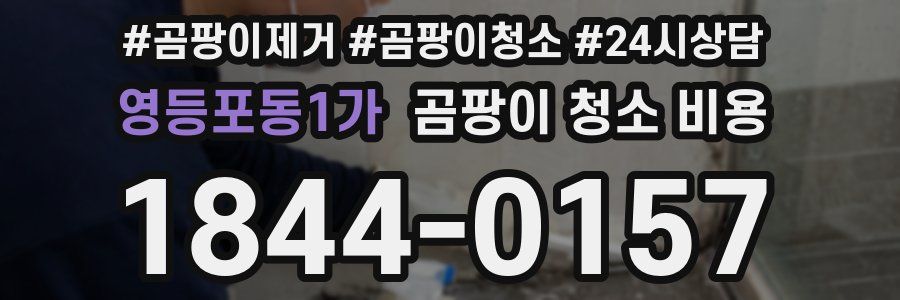 영등포동1가 곰팡이 청소 비용