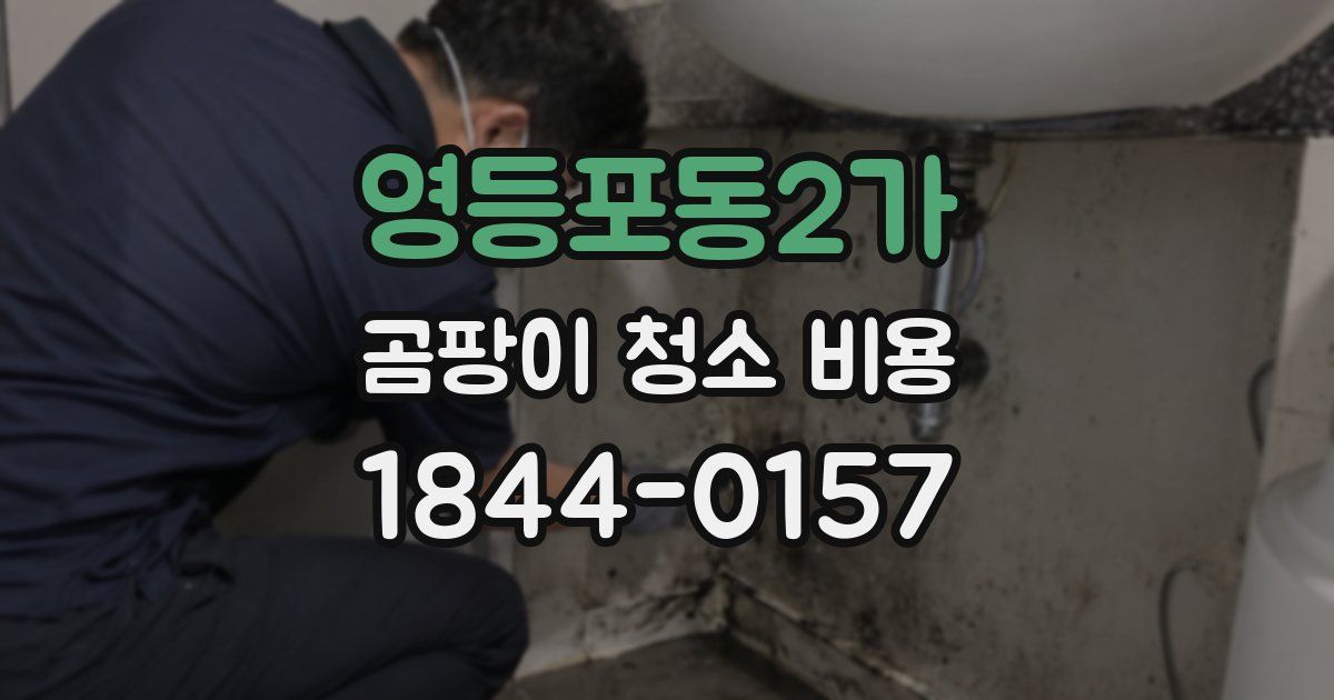 영등포동2가 곰팡이 청소 비용